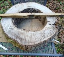 Baumscheibe Natur hohl, roh >  B4