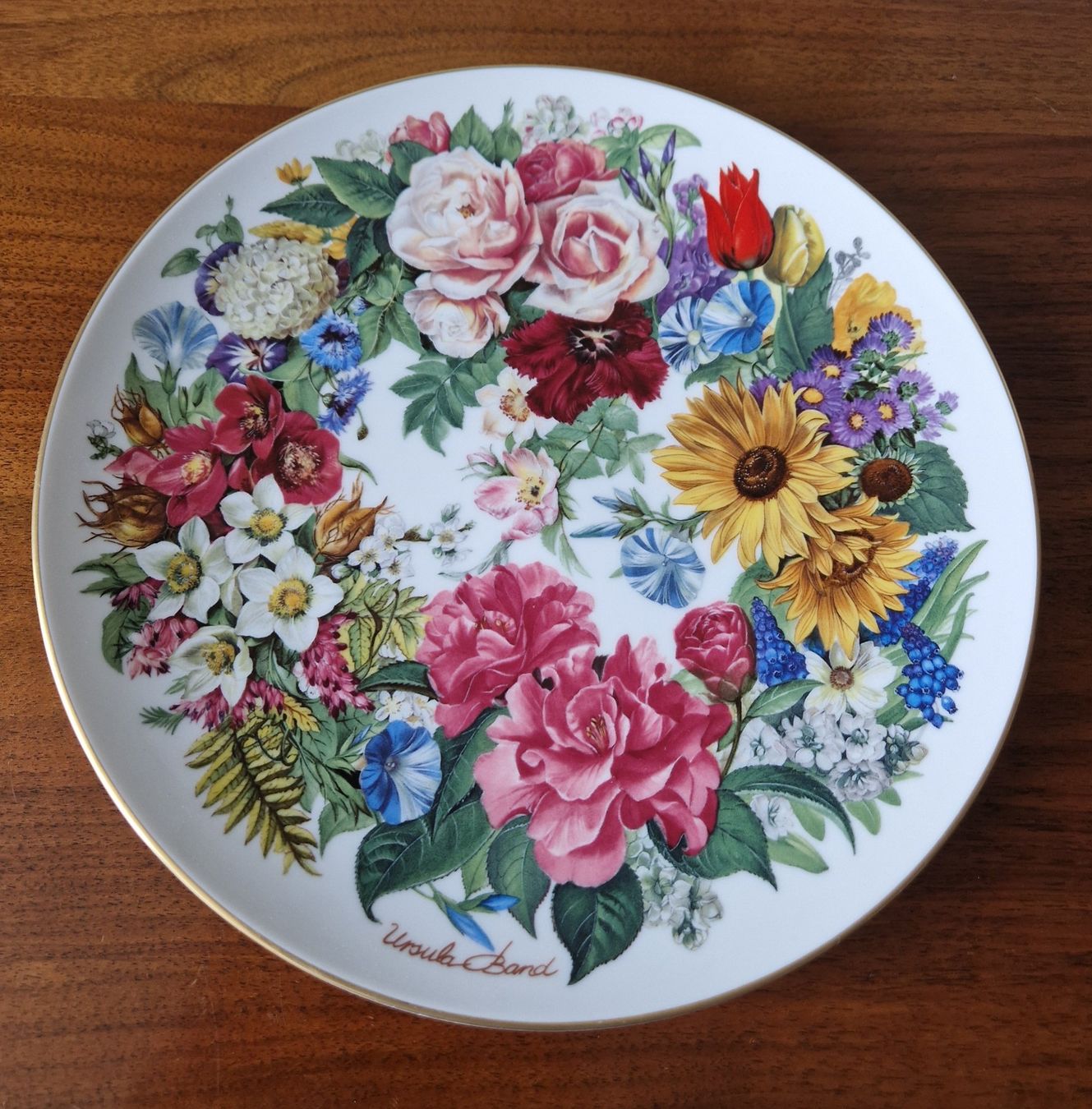 Hutschenreuther Teller: Sammelteller/Wandteller Hutschenreuter – Neu (gemäss Beschreibung) aus Bern von Antikbatik 4