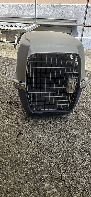 : Hunde Transportbox  – D'occasion à Neuhausen par Blasco30 1