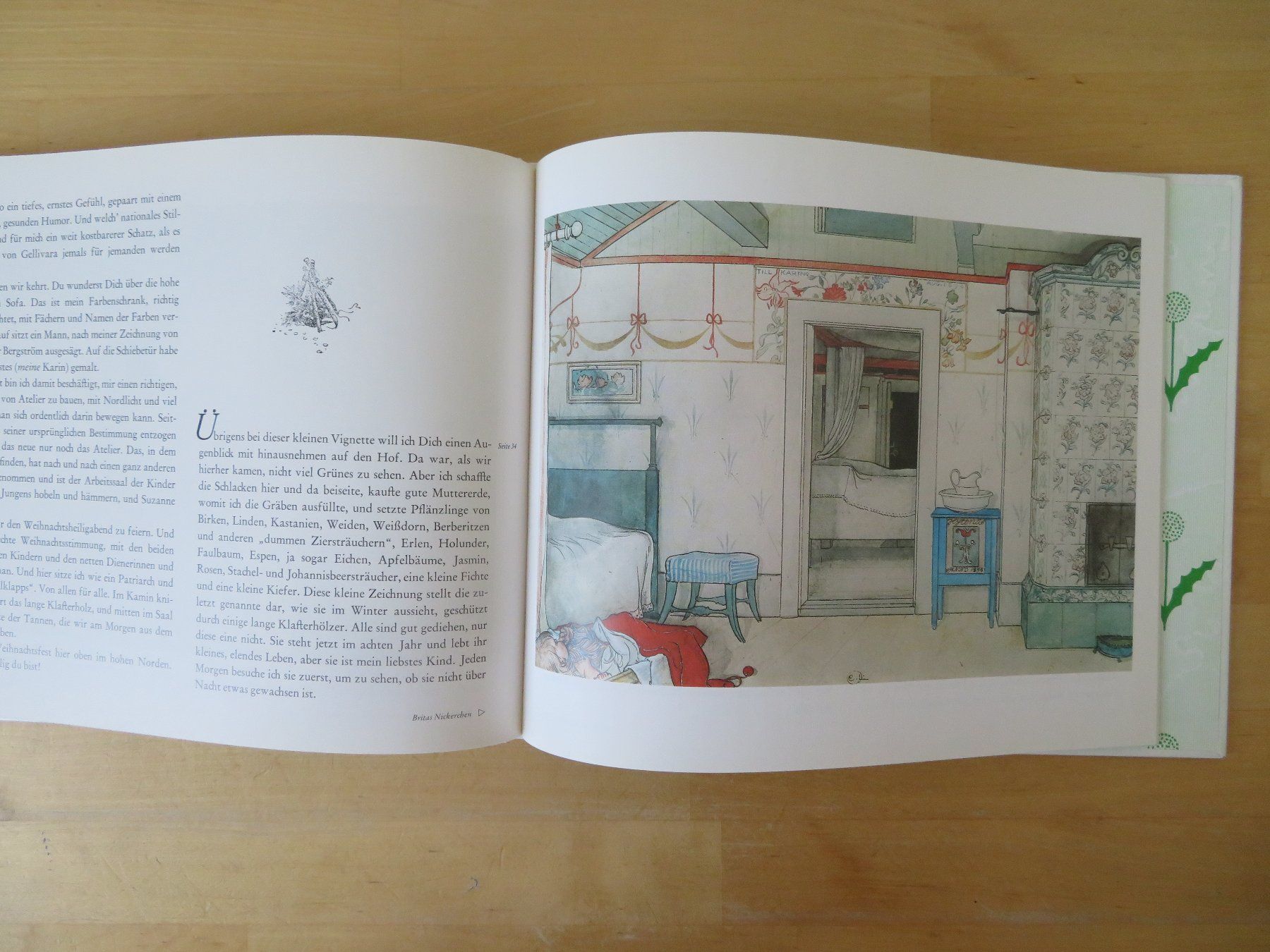 Bücher: CARL LARSSON Unser Heim – Gebraucht aus Zürich von piroma 3