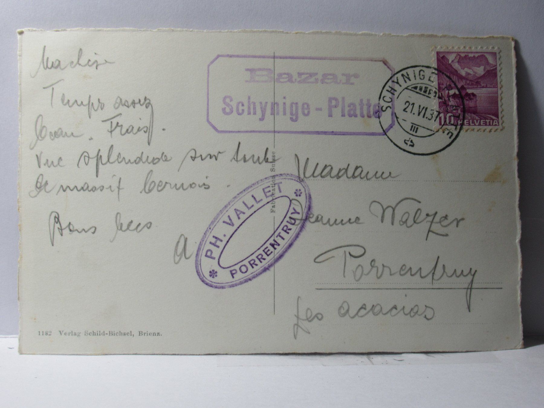 Cartoline postali: Schynige Platte , Eiger , Mönch und Jungfrau 1937 – Usato da Grenchen venduto da Bluemchen1900 1