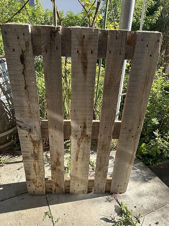 Pallets: Europalette – Usato da Geroldswil venduto da swolmuel 1