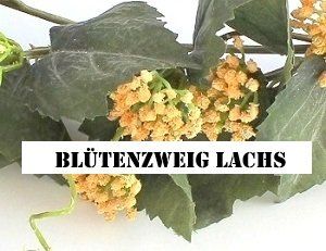Tutte le decorazioni: Blütenzweig lachs – Nuovo (secondo la descrizione) da Schlatt TG venduto da kreativ-atelier 1