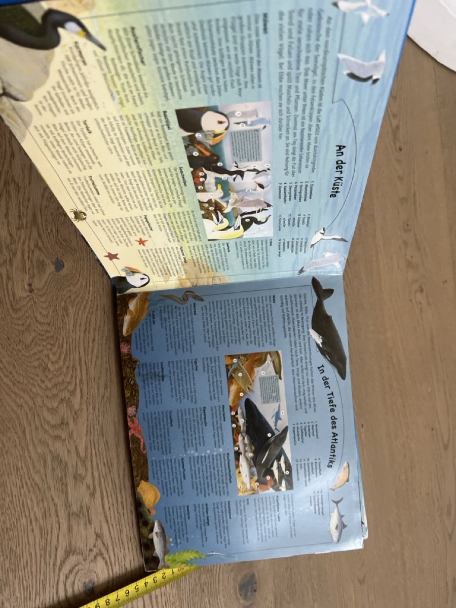 Libri: Zauberklang der Meere - Geräusche Pop-Up Buch  – Usato da Oensingen venduto da katepe 2