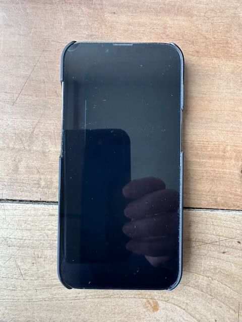Apple Telefoni cellulari / Smartphones: iPhone 13 Pro mit 128 GB – Usato da Scuol venduto da Snoopy06 3