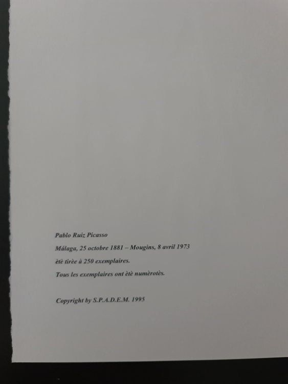 Foto & Immagini: Pablo Picasso "Le Repas Frugal" – Usato da Staufen venduto da saerdna81 4
