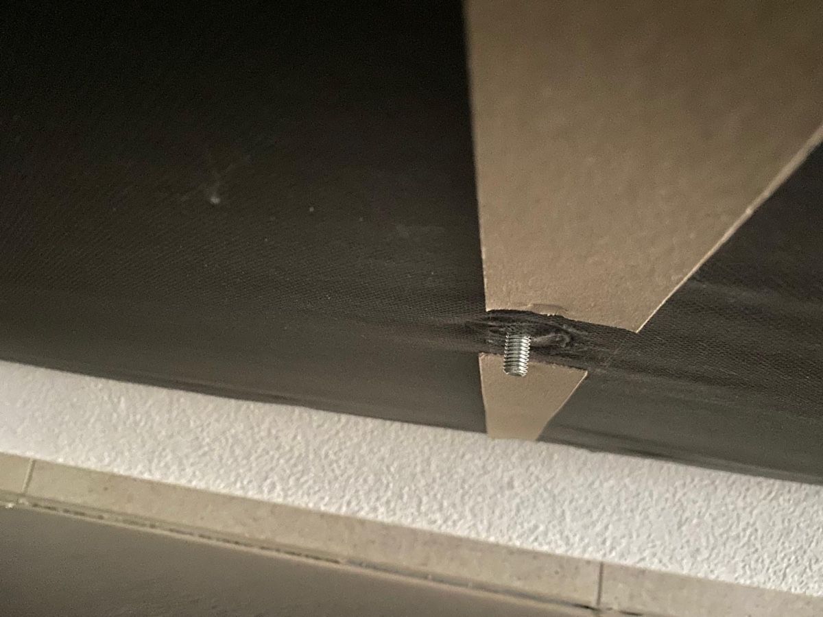 Divani: Echtleder-Sofa ab Fr. 1.- – Usato da Arbon venduto da Circoloco 1