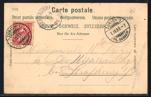 Cartoline postali: Lithographie Zürich, Ortspanorama, 1899 – Usato da Berlin venduto da bartko-reher 1
