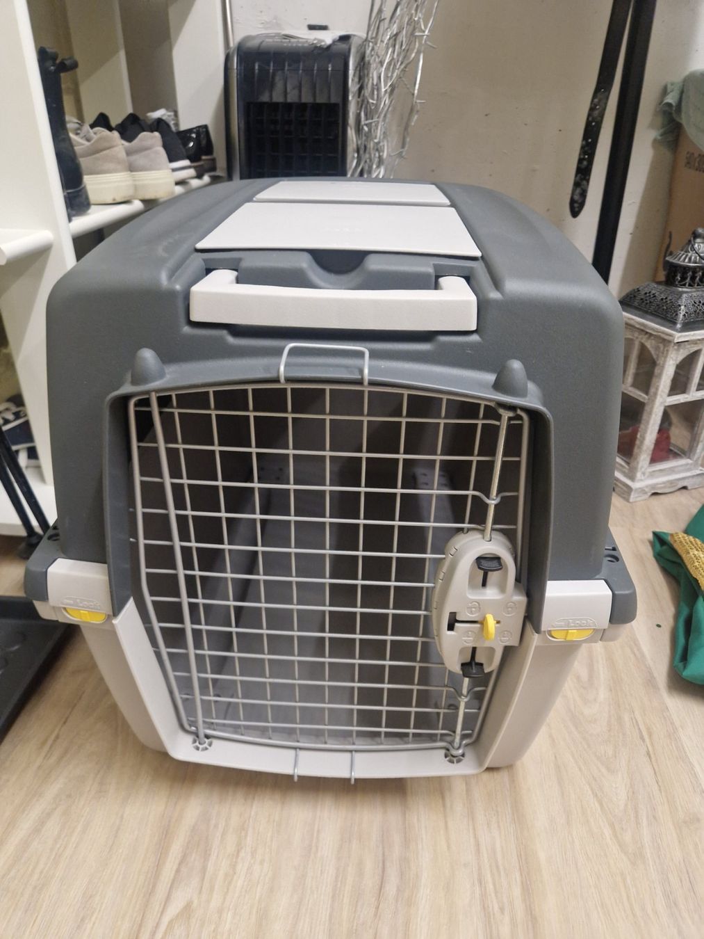 Gabbie, trasporto & Sicurezza: Hunde Gitter – Usato da Altdorf UR venduto da asw_j7h2
