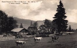 Chalet-Pension du Mont de Baulmes (Ste Croix)