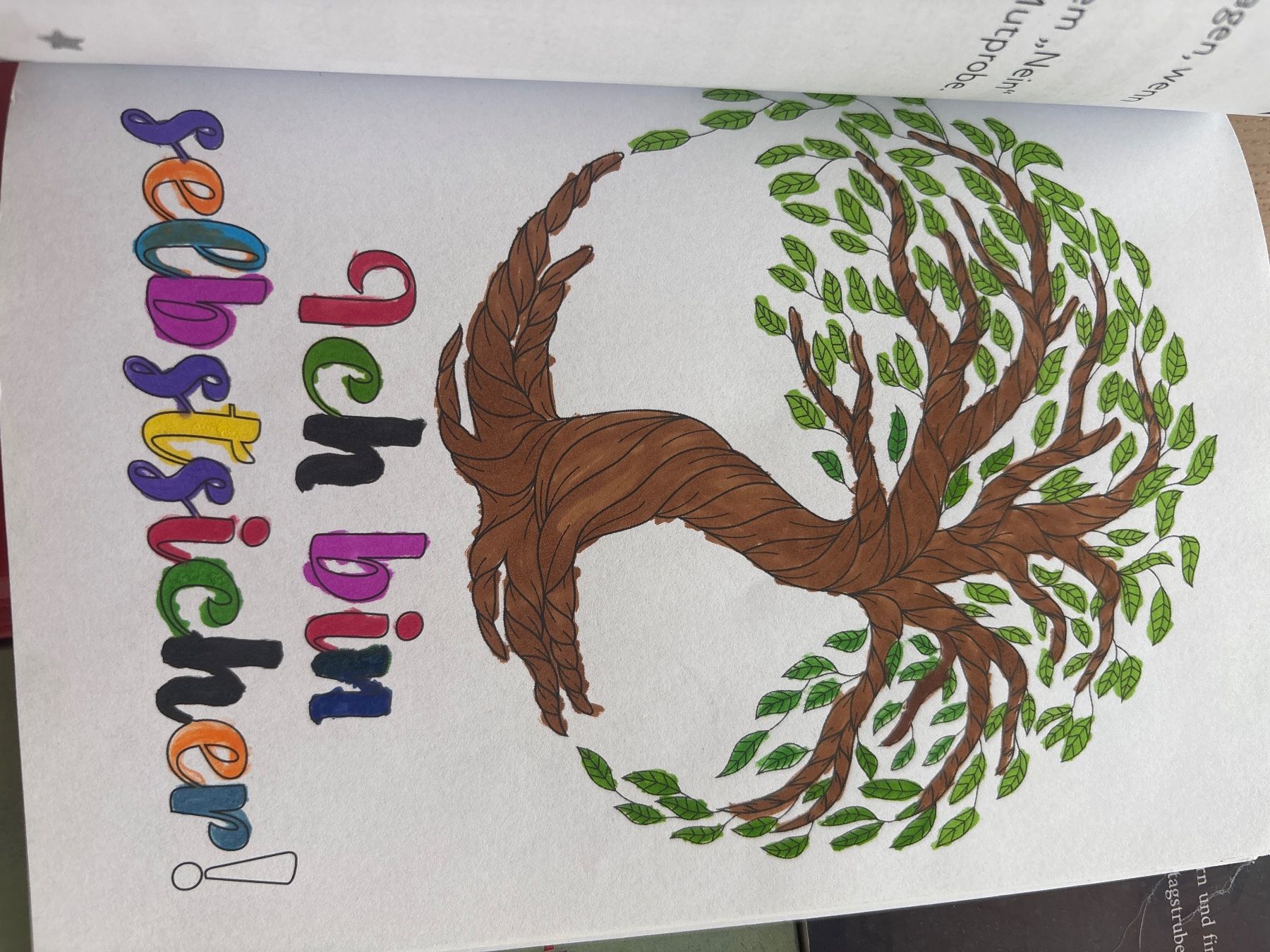 Bücher: Kinderbuch Sammlung 4 Stck. Zustand gut – Gebraucht aus Wintersingen von Symphoricarpos 2