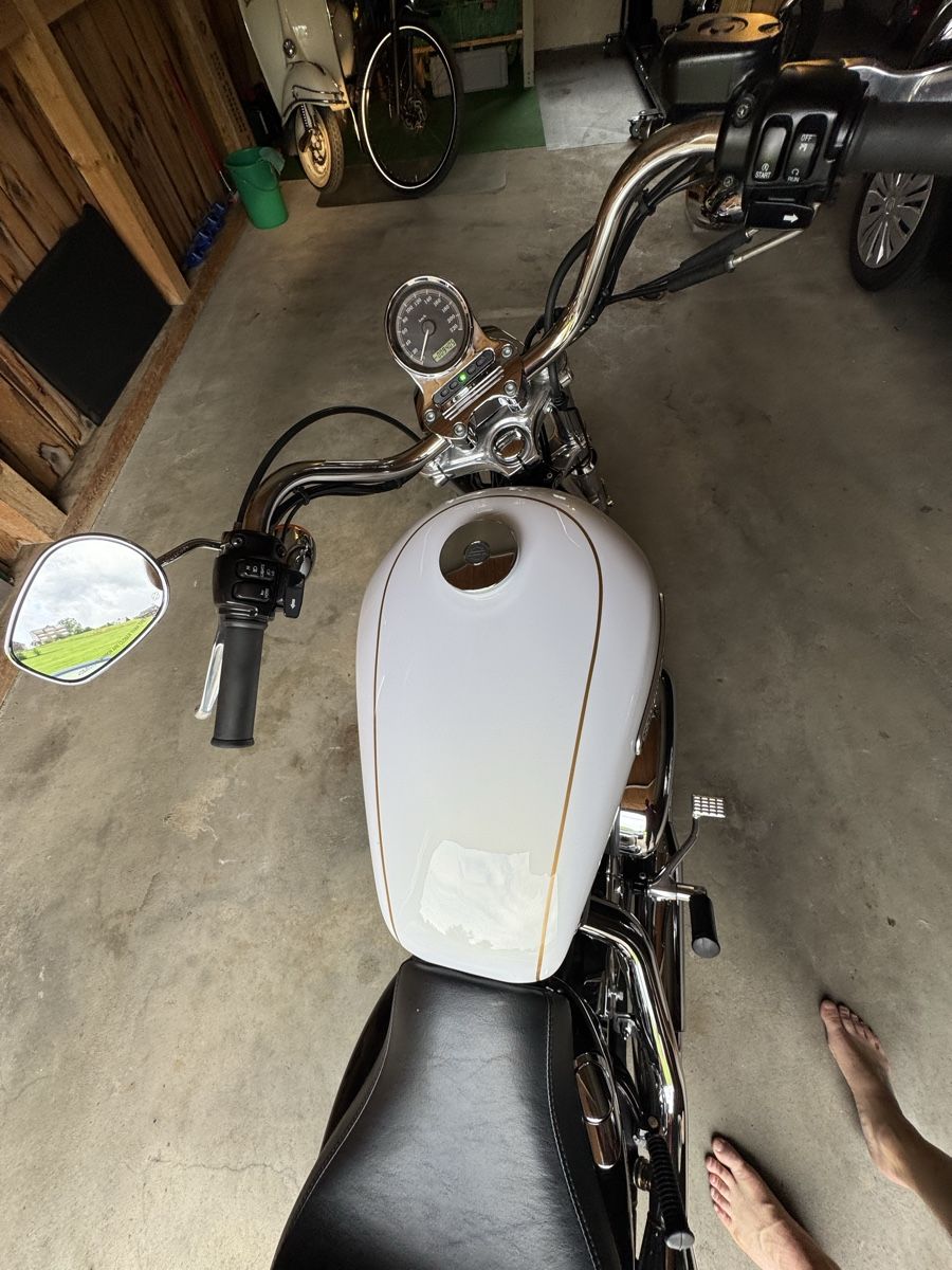 Chopper: Harley Davidson – Usato da Nesslau venduto da cwaege 4