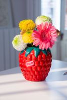 Vase Himbeere DOIY Keramik rot grün NEU