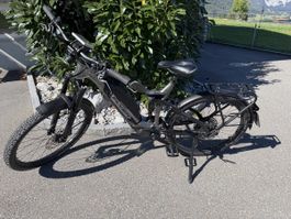 FLYER Goroc X 4.10 Fully | 750 Wh | Gr. L | 4’600 km | S