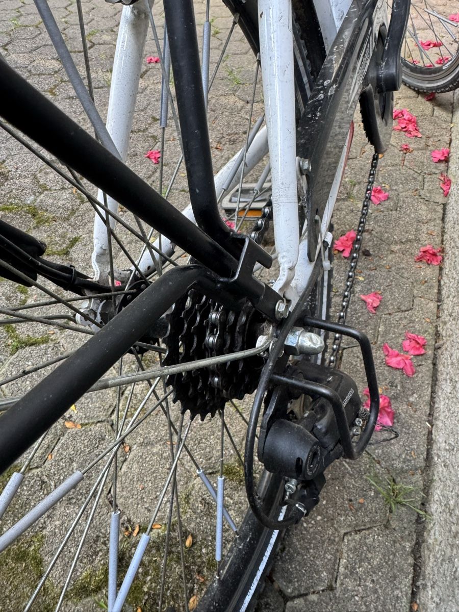 Biciclette: Kinder Velo 24 Zoll – Usato da Riehen venduto da dob_5sbs 3
