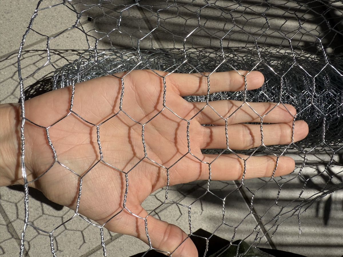 Griglie e Inferriate: Maschendraht 6-Eck Geflecht 9m – Usato da Mörschwil venduto da Seegurke18 2