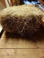 Wiesenheu, Kleinballen, handgepresst, beste Qualität