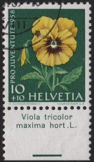 10 Rp. Gartenstiefmütterchen mit TAB (Viola tricolor maxima) (Gebraucht ...