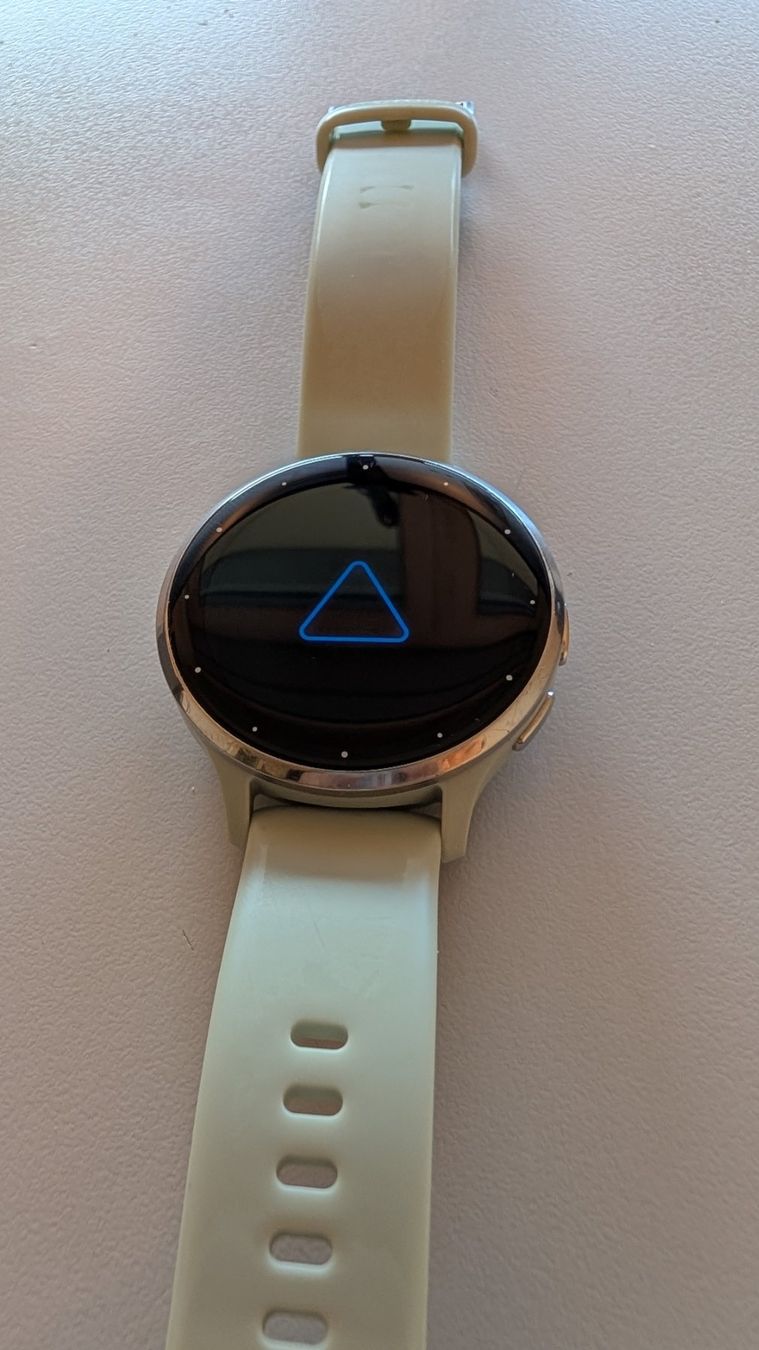 Garmin Smartwatch: Garmin Venu 3s 40mm – Usato da Oberengstringen venduto da Aessig 4