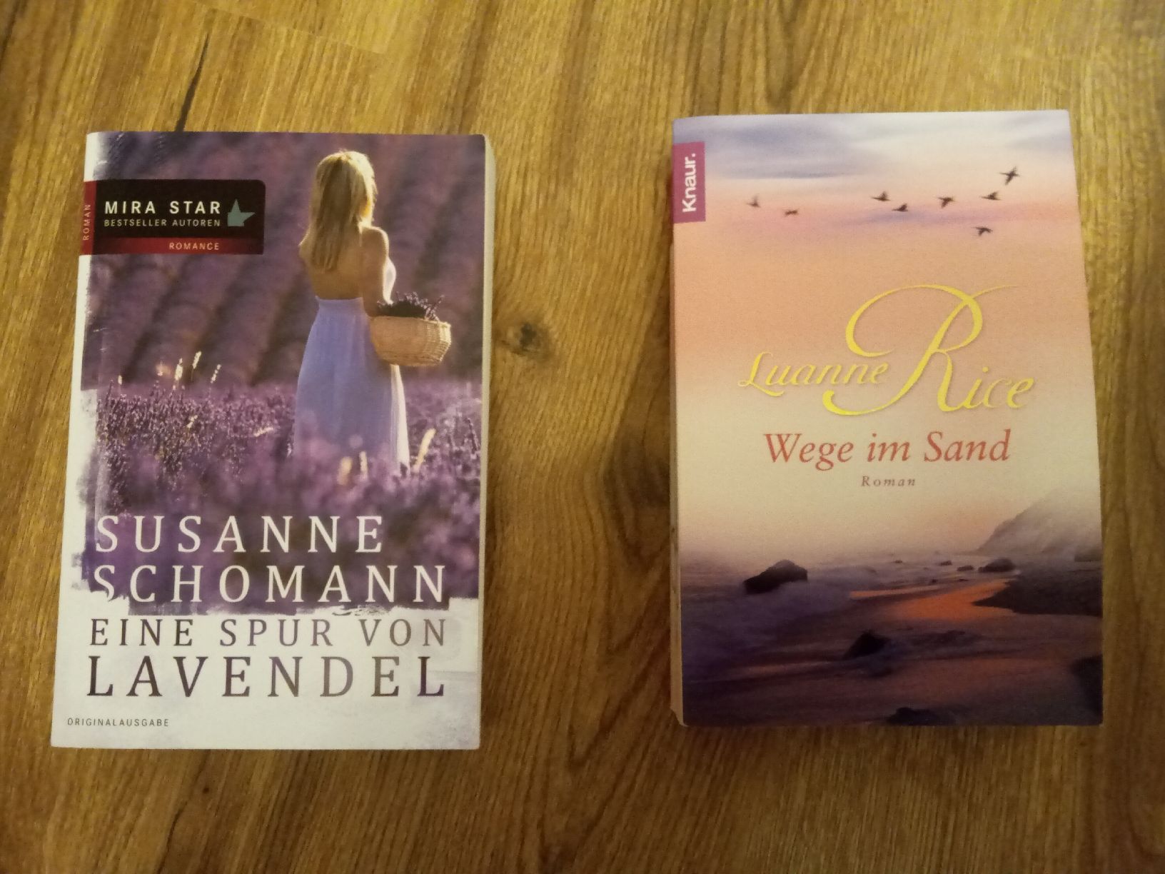 Libri: Zwei Sommerromane, Guter Zustand – Usato da Wetzikon ZH venduto da karrap