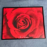 Rose im Bilder Rahmen 40x50