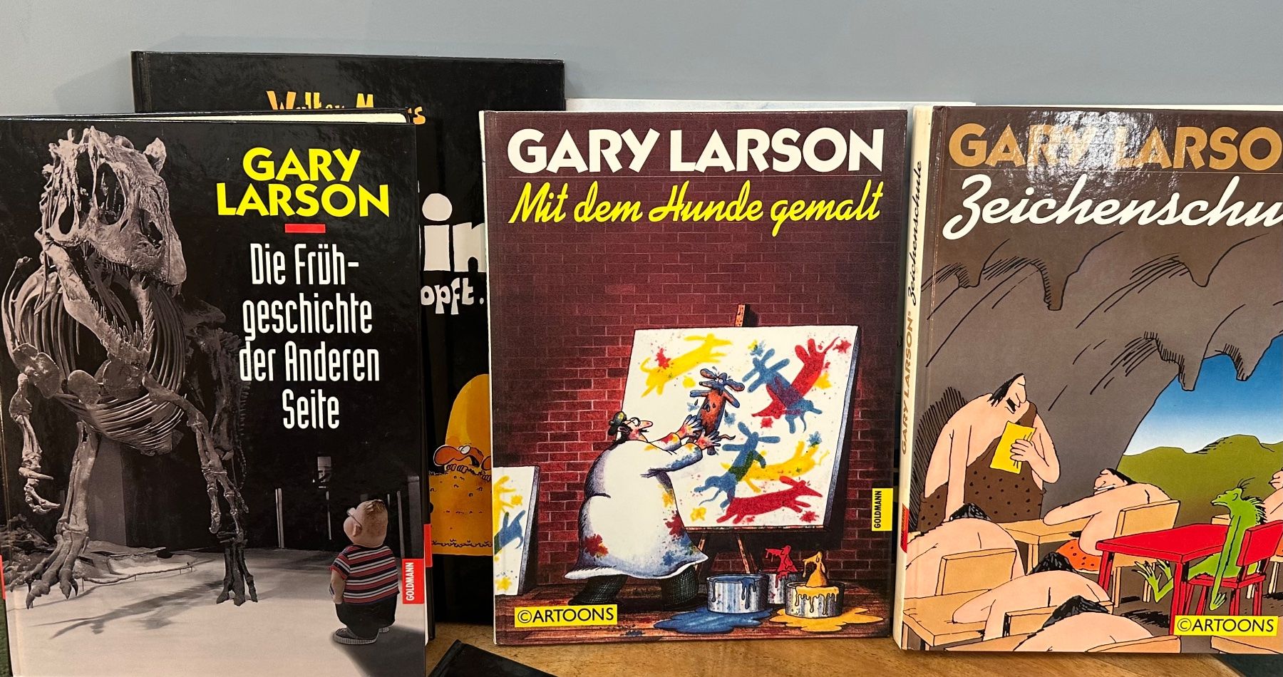 Fumetti: Comic Sammlung Gary Larson Walter Moers gebraucht – Usato da Otelfingen venduto da Yossi-68 5