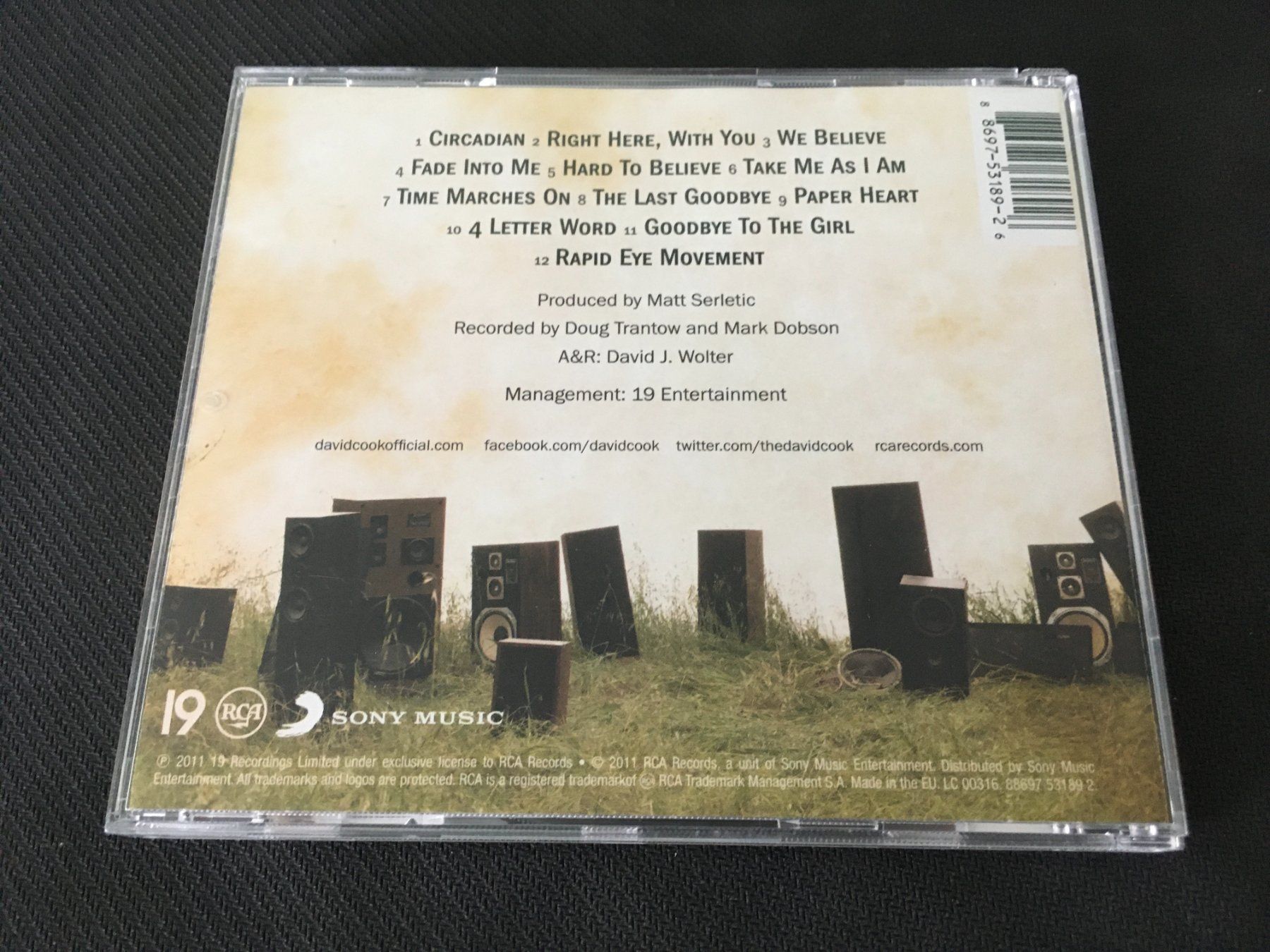 CD: David Cook - This loud Morning -CD- – Usato da St.Gallen venduto da MedienJoe 1