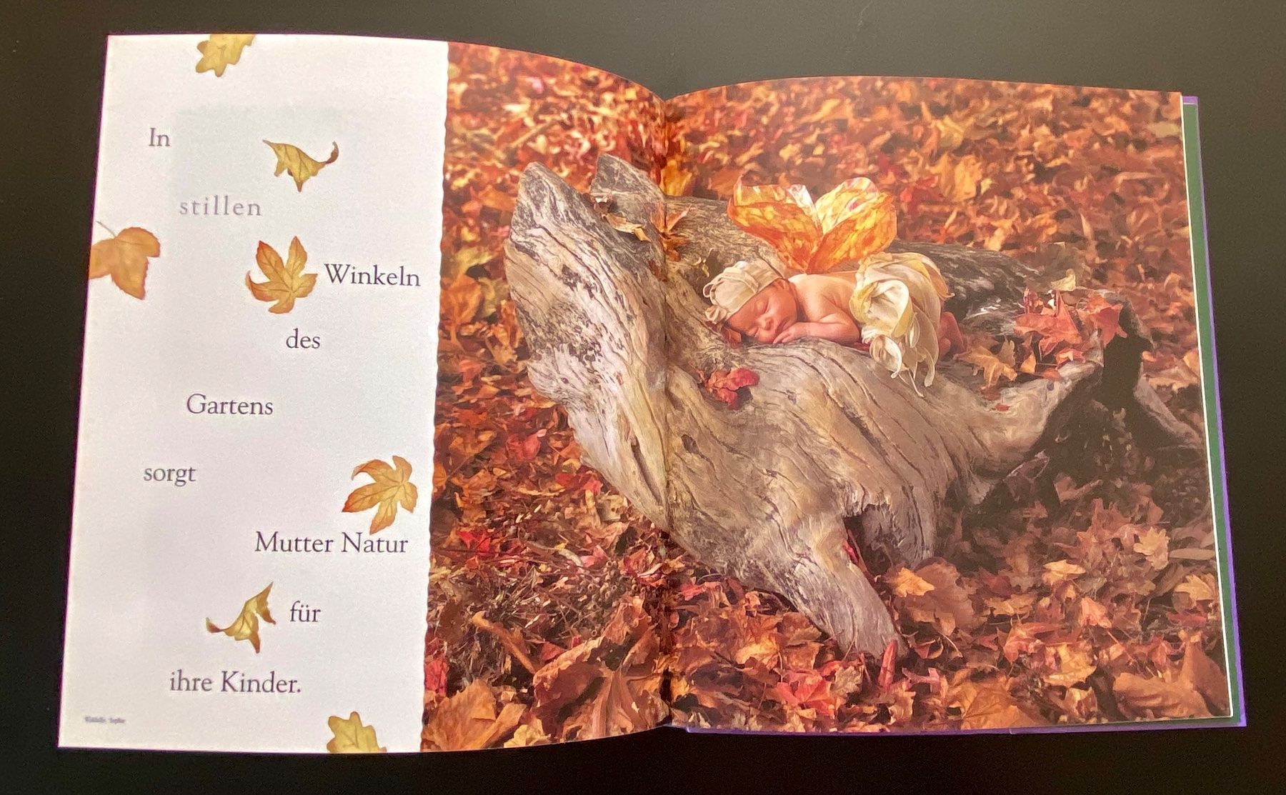 Libri: DRUNTEN IM GARTEN / ANNE GEDDES – Usato da Nussbaumen AG venduto da schuba2000 7