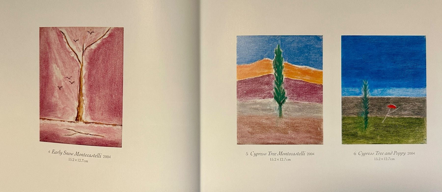 Libri: Craigie Aitchison: 'Pictures'. – Usato da Zürich venduto da allp 4