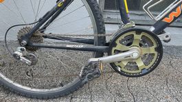 Velo!