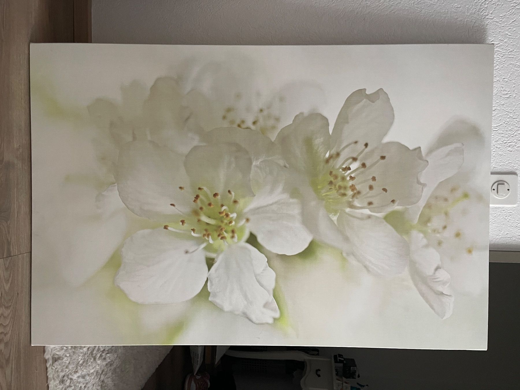 Foto & Immagini: Bild Ikea – Nuovo (secondo la descrizione) da Winterthur venduto da Deal246