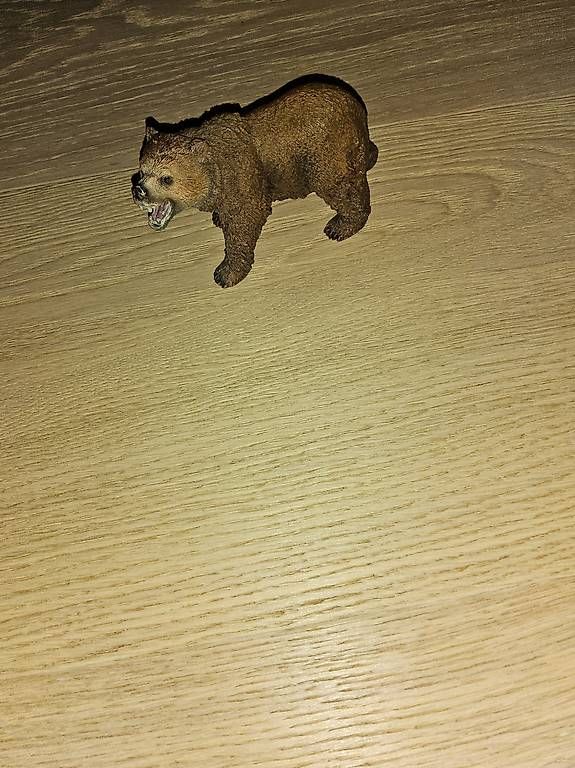 Figurines: Schleich Bär – D'occasion à Davos Dorf par hof_t6tv