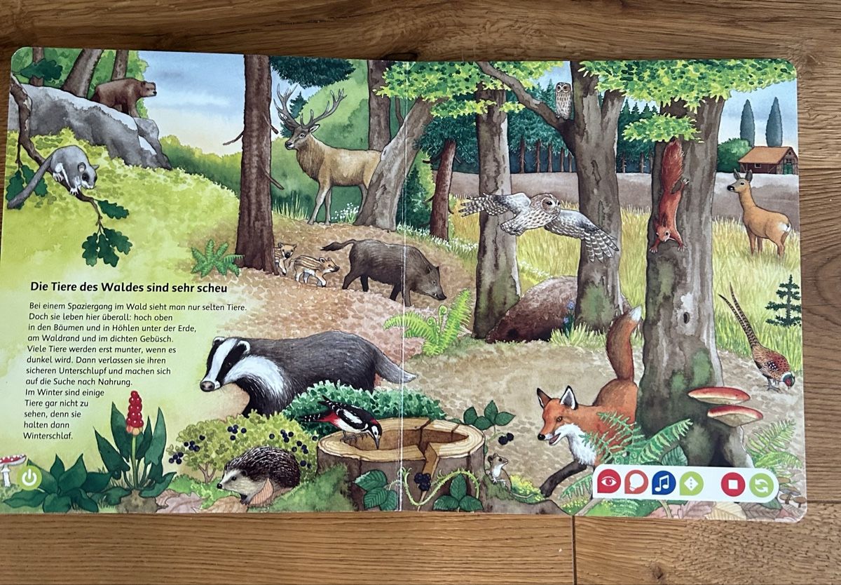 Libri: tiptoi® "Bilderlexikon der Tiere" – Usato da Bättwil venduto da sth_2vgx 2