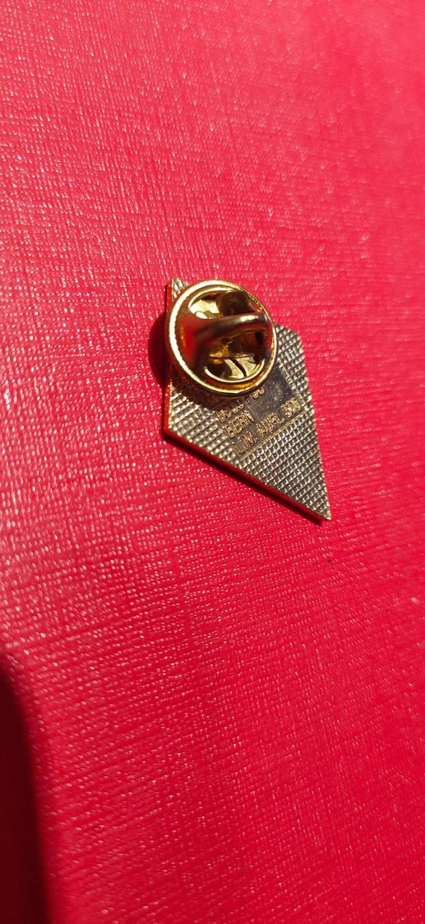 Placchette & Badge: Polizei Verbabd Bern Pin – Usato da Zürich venduto da Joer 1