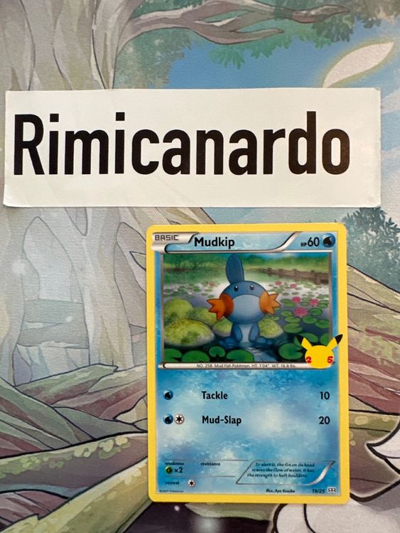 Mcdonalds Pikachu Card Pokemon TCG Mudkip Holo - 2021 McDonald's Promo Card  #19/25 (Near Mint) Mcdonalds Pokemon Cards 2025