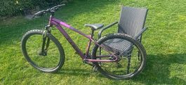Mountain Bike CUBE Access WS  Ruote 29  Taglia M