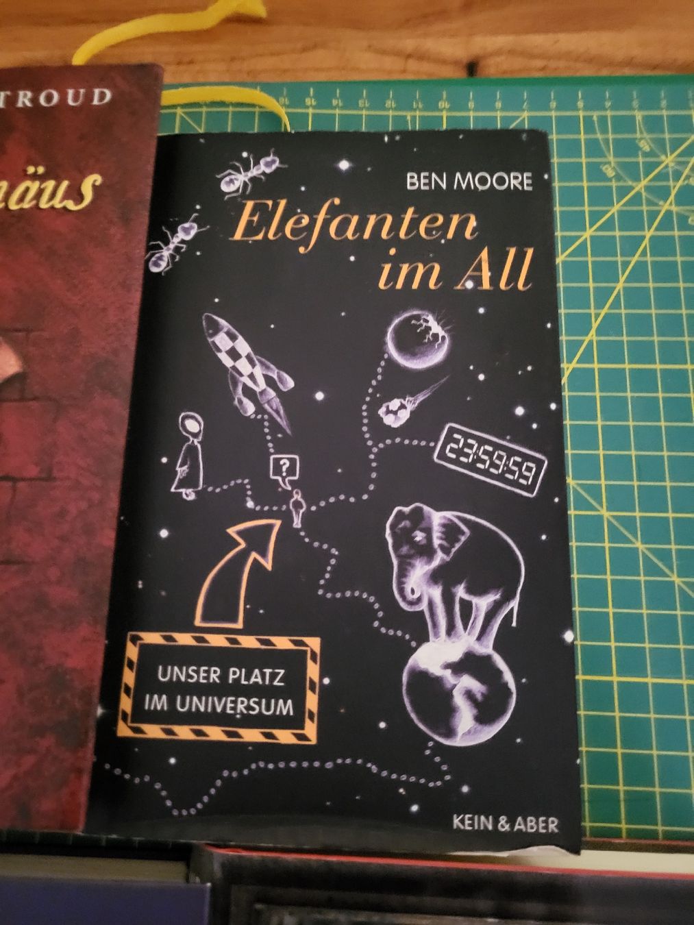 Libri: 8 Fantasybücher – Usato da Möriken AG venduto da Vandine 5