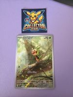 Pokemon Illustration Rare Chespin Mega süss