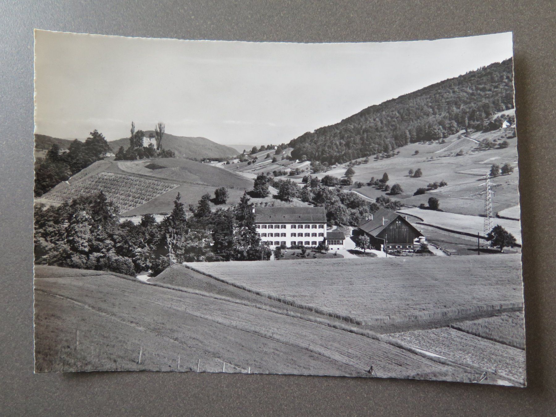 Cartes postales: FREIENSTEIN ZH – D'occasion à Wittenbach par lipasal