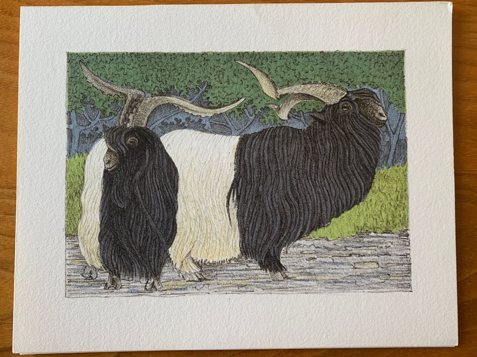 Grafica & Litografie: Lithographie Anton Mutter, Schwarzhalsböcke – Nuovo (secondo la descrizione) da Sargans venduto da aebi081