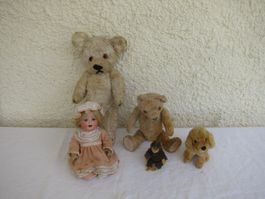 Teddybären und Puppe