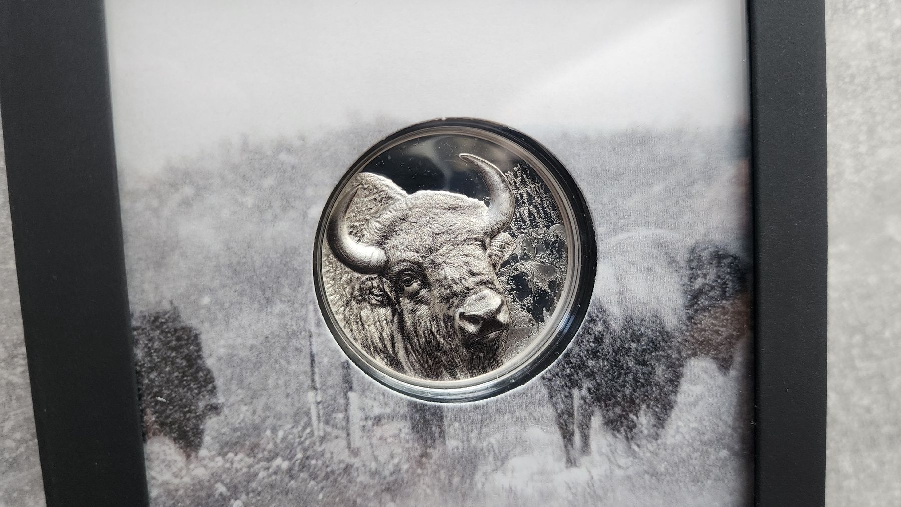 Tutti le monete: Mongolia Buffalo 2025 Proof 1 oz Silber Togrog – Nuovo e nell'imballaggio originale da Petit-Lancy venduto da SilverCoinCoin