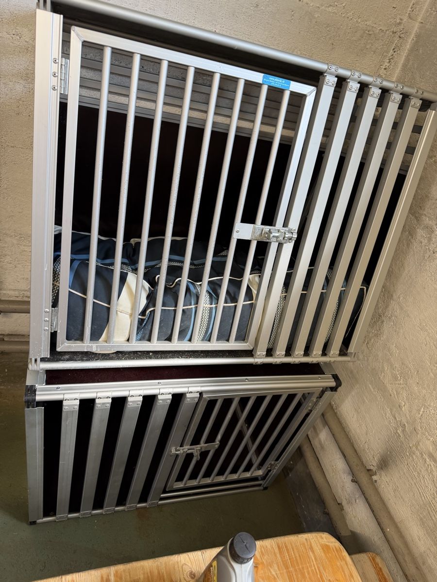 Gabbie, trasporto & Sicurezza: Robuste Hundetransportbox – Usato da Aarwangen venduto da ederico12 2