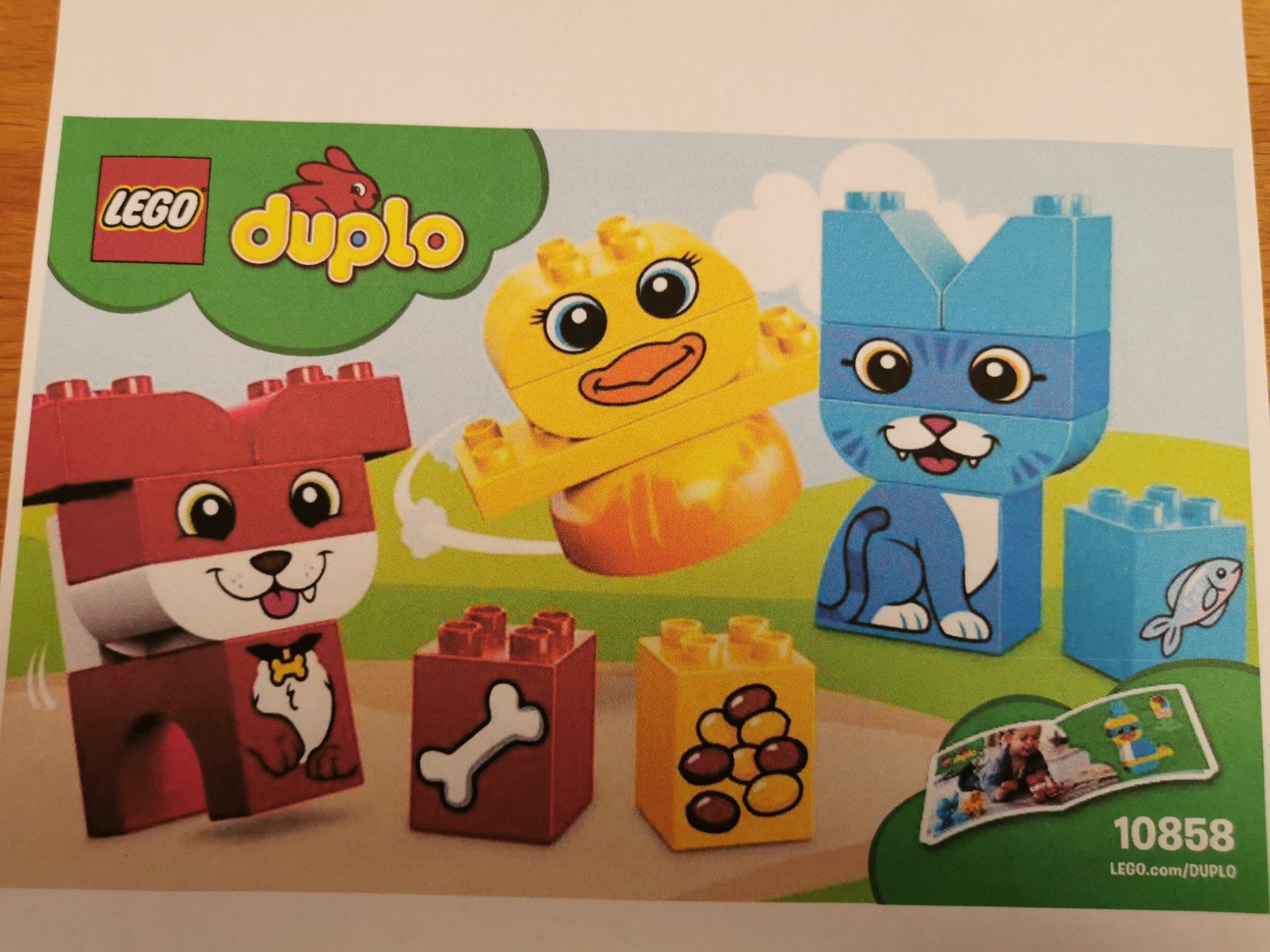 Lego Giocattoli: Lego Duplo Spielset – Usato da Oberuzwil venduto da schoenenberm 8