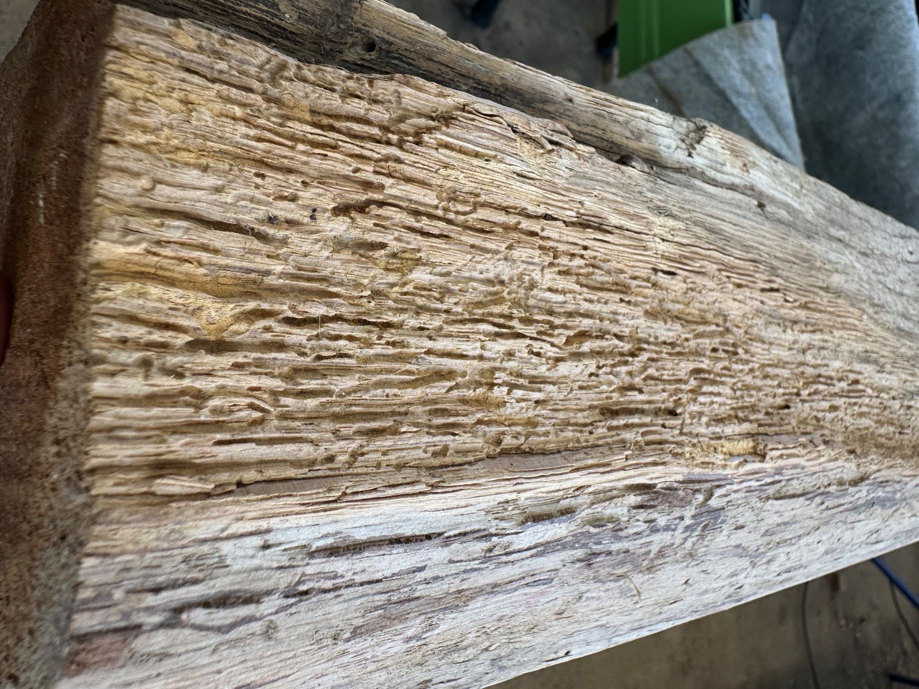 Holzartikel: Alter Eichenbalken mit historischen Zapfenlöchern – Gebraucht aus Breitenbach von kaufmann-j 7