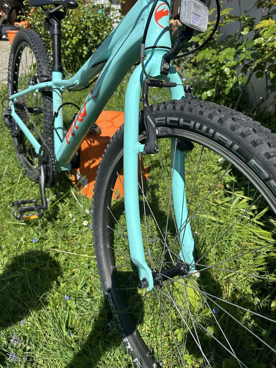 Pyro Biciclette: Velo Pyro 26 – Usato da Blonay venduto da Fireman73 3