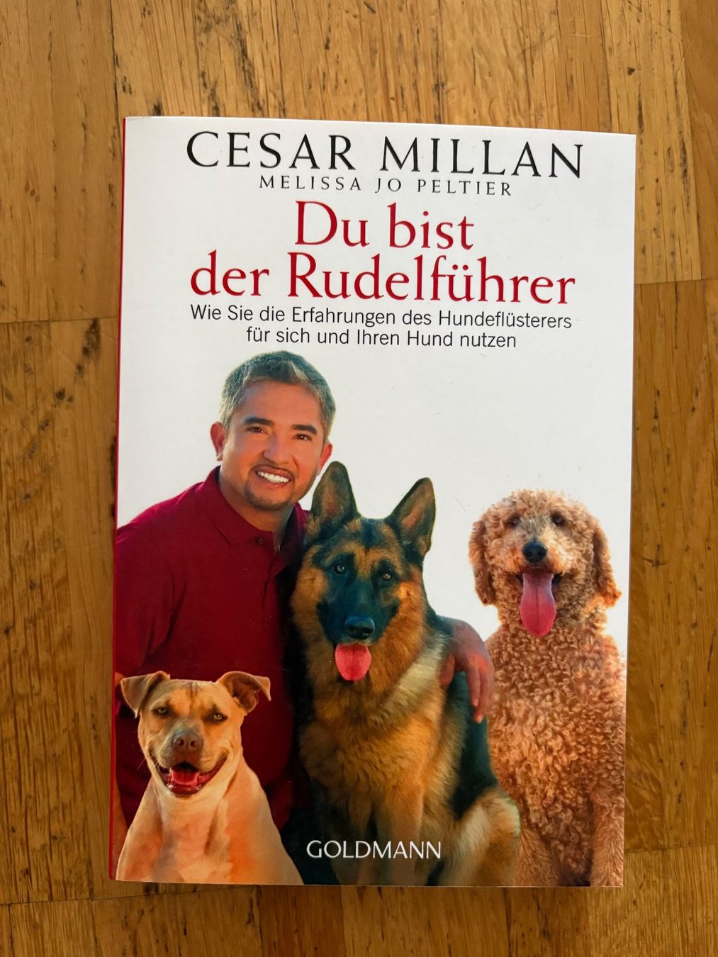 Libri: Du bist der Rudelführer  - Cesar Milan – Usato da Oberwil BL venduto da saru-koshiro