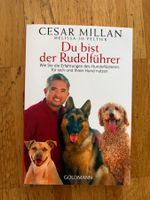 Du bist der Rudelführer  - Cesar Milan