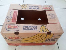 Bananenschachteln, 10er Set (11)