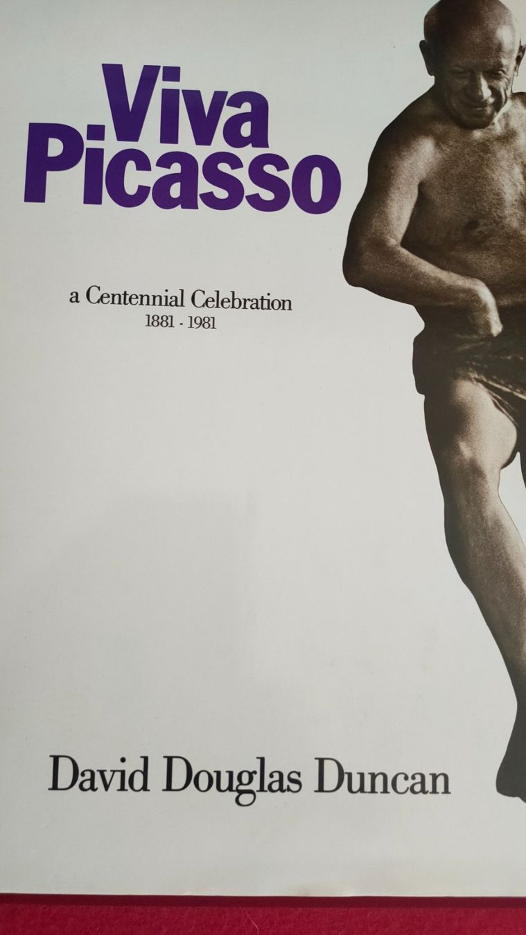Bücher: Picasso – Gebraucht aus Crans-Montana von Camphill 8